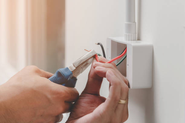 Best Electrical Panel Upgrades  in USA